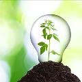 اهمیت احترام به محیط زیست در تلاش صنعت کار آفرین